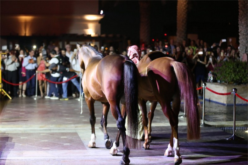 Salsa Night at Eastern Mangroves Hotel and Spa by Anantara